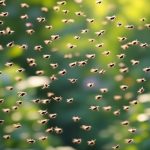 How to Get Rid of Gnats