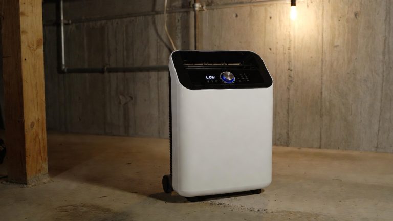 5 Best Dehumidifier for 1500 Sq Ft Basement In 2026