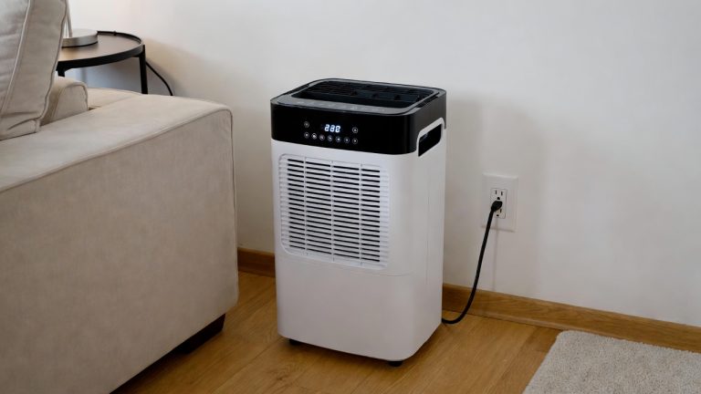 Best Dehumidifier for 500 Sq Ft
