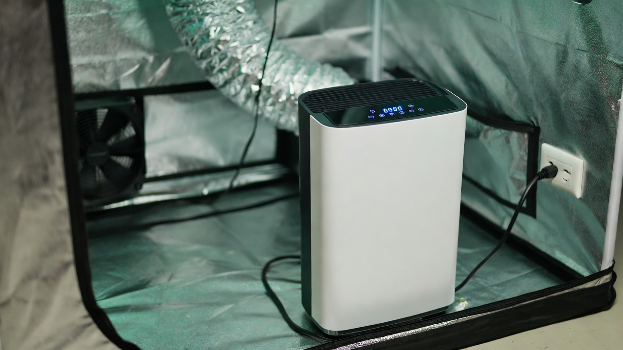 Best Dehumidifier for Grow Tent