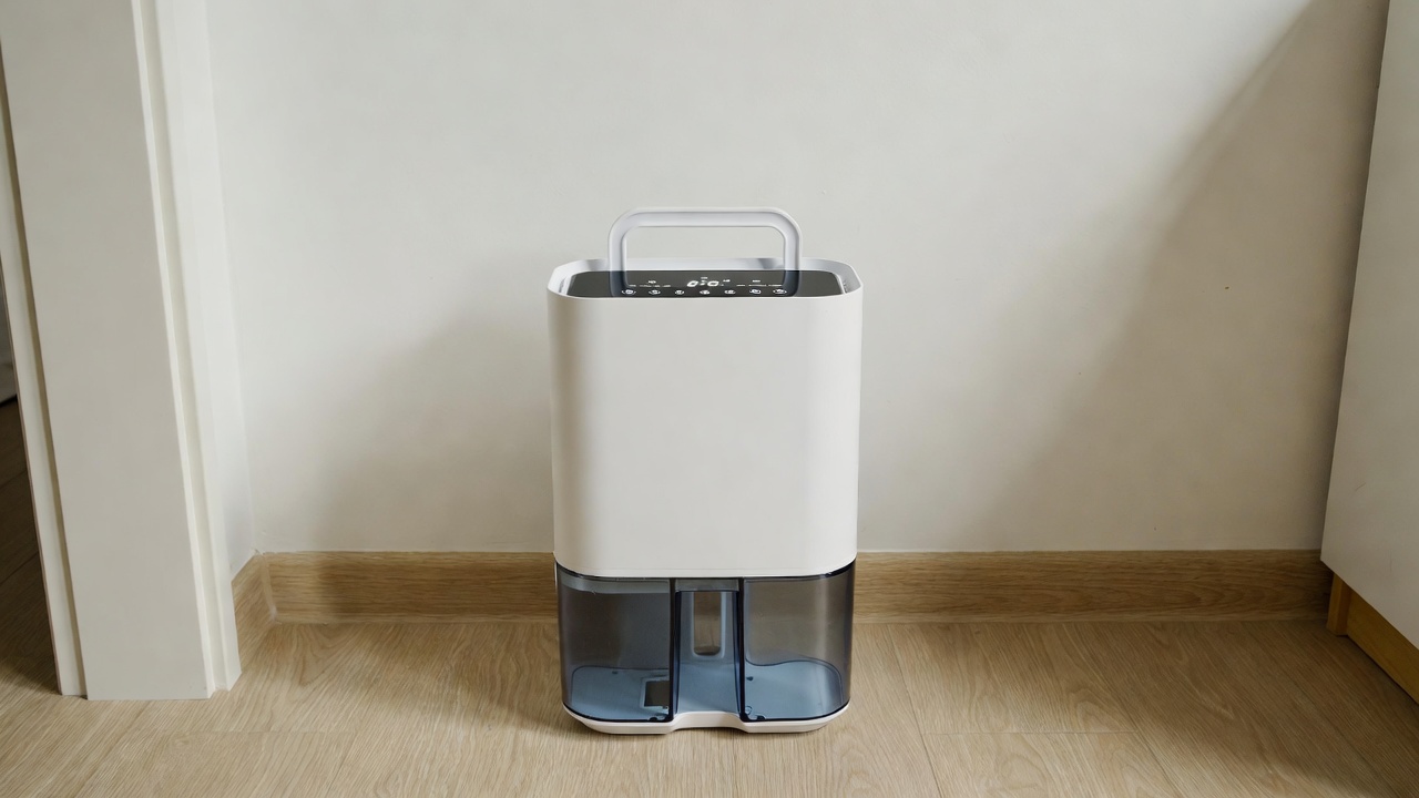 Best Dehumidifier for Small Rooms