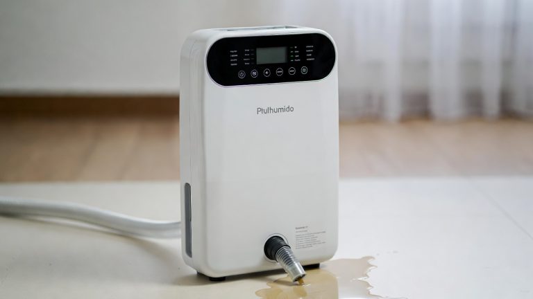 Best Dehumidifier with Drain Hose for Your Home