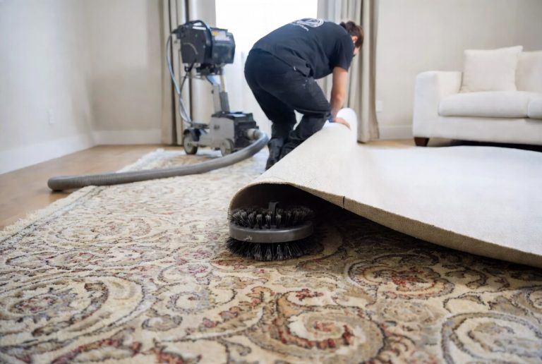Best Area Rug Cleaner