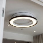 Best Smart Ceiling Light Options